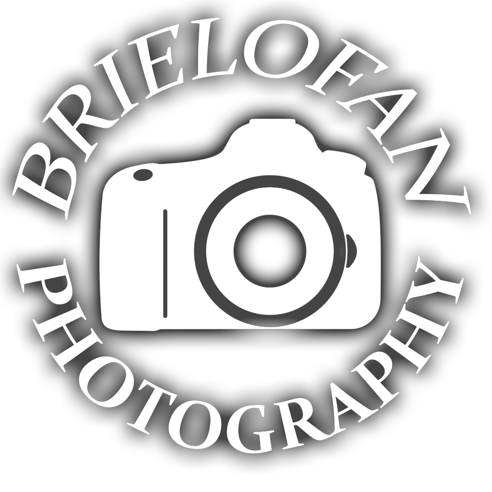 Brielofan logo